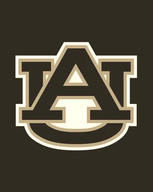 Auburn Tigers vs. Wisconsin Badgers