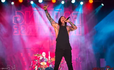 Falling in Reverse