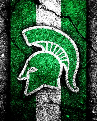 Michigan State Spartans vs. Wisconsin Badgers