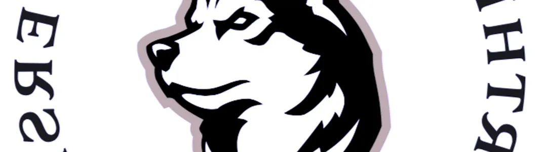 Northeastern Huskies