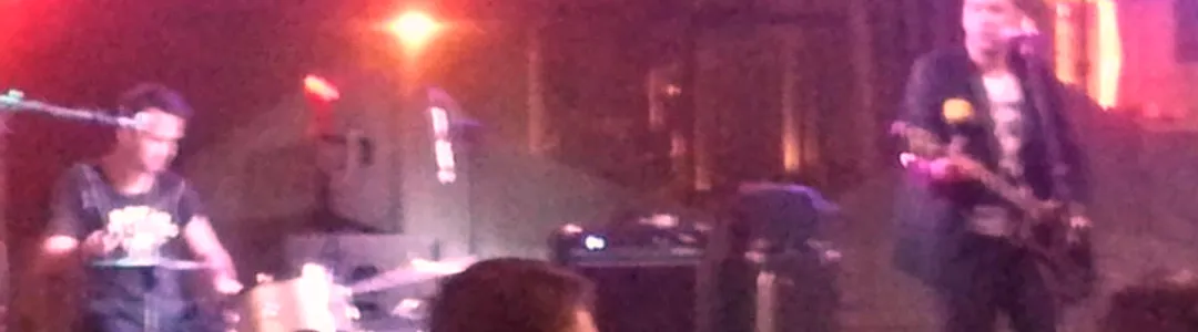 Panda Bear