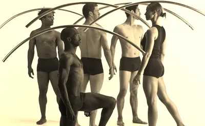 Pilobolus