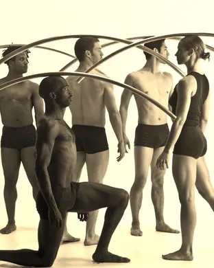 Pilobolus: Trips