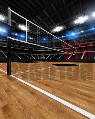 Wisconsin Badgers Women's Volleyball vs. Oregon Ducks